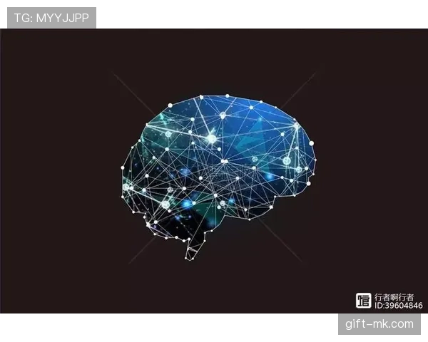 帕尔默与萨卡技术全面性差距的关键维度解析